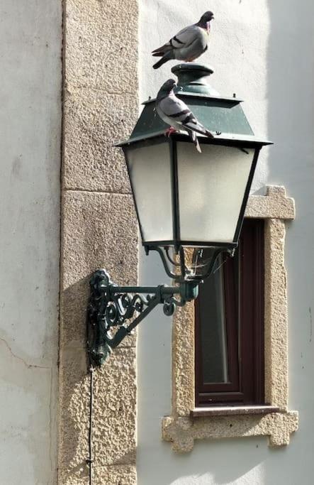 Loft In The Historic Center Of Oporto Downtown公寓 外观 照片