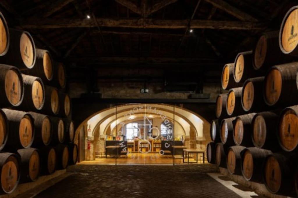 Loft In The Historic Center Of Oporto Downtown公寓 外观 照片